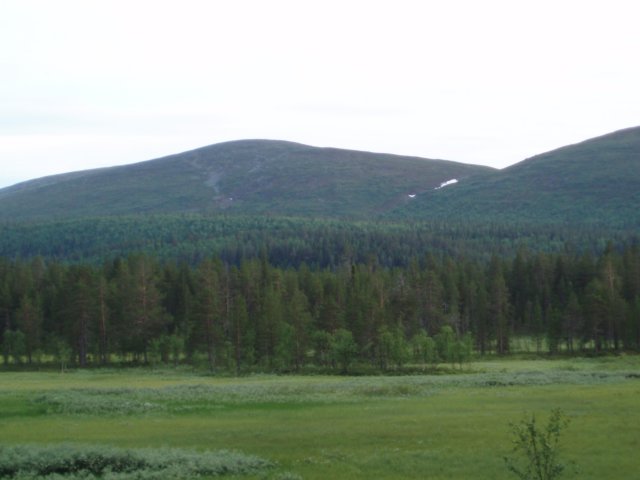 nkymleiripaikalta.jpg