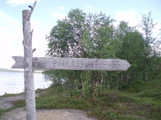 vaellusalkaa.jpg