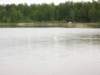 spa50161_small.jpg