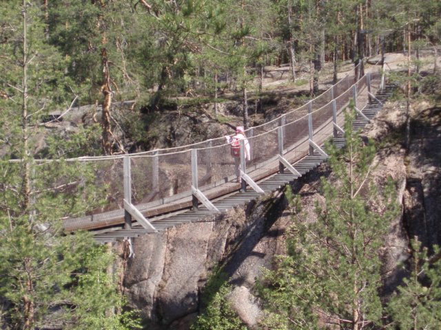 partio005.jpg
