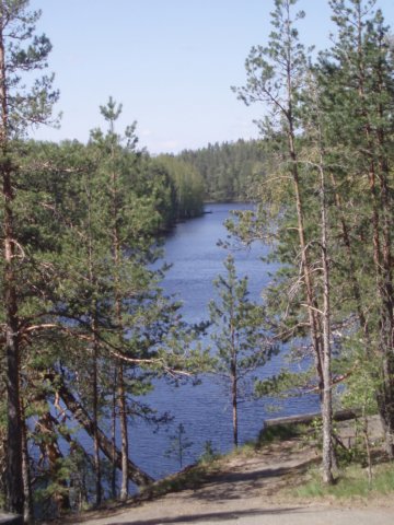 partio008.jpg