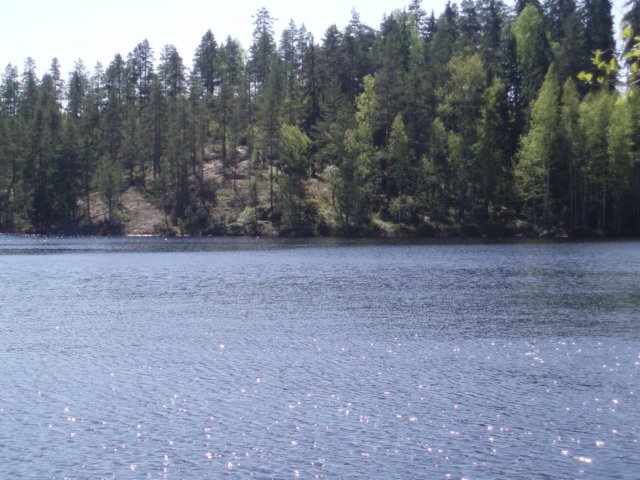 partio042.jpg